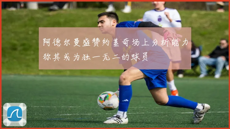 阿德尔曼盛赞约基奇场上分析能力称其或为独一无二的球员