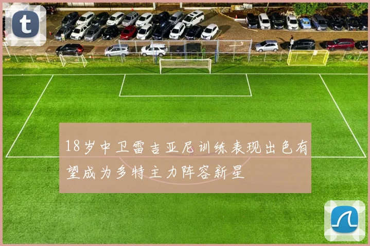 18岁中卫雷吉亚尼训练表现出色有望成为多特主力阵容新星